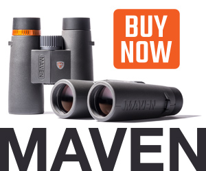 Maven Current Sale Items deals